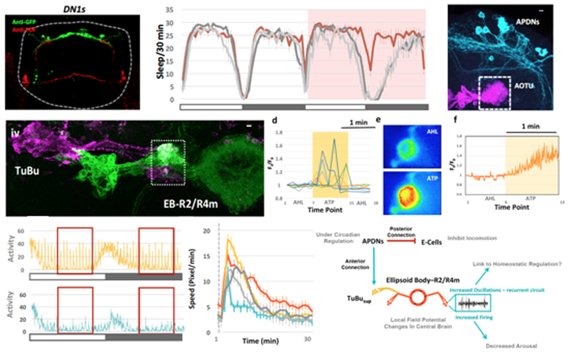 1538125632395591.jpg 未标题-4.jpg